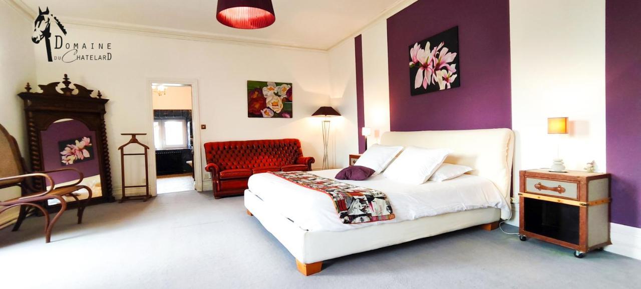 Dirac Logis Hotels Domaine Du Chatelard מראה חיצוני תמונה