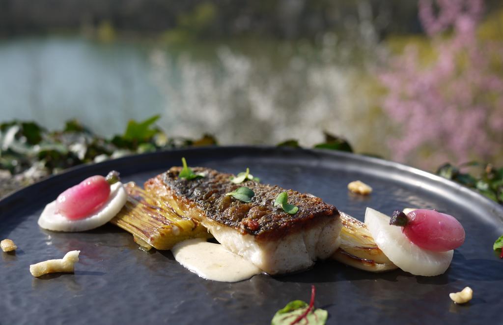 Dirac Logis Hotels Domaine Du Chatelard מראה חיצוני תמונה